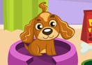 Pretty Dog Contest