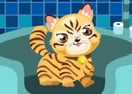 Cat Breeder 2