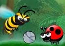 Boom Bugs
