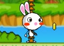 Rainbow Rabbit Adventure 2