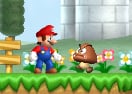 Super Mario Challenge