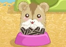 Hamster Love