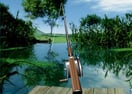 Lake Fishing