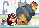 Cats Cannon