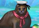My Sweet Seal