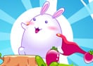 Rabbit Save The World