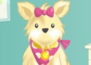 Cutie Pet Care