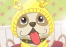 Cute Pets Today