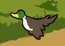 Bird Blast