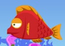 Fish Eat Fish