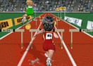 Hurdle Race