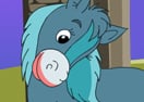 Darcy Pony Difference