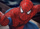 Photos of Spiderman!