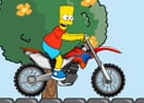 Bart Bike Adventure