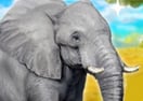 Clever Elephant