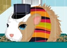 Guinea Pig Needs Owner