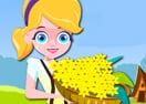 Flower Farm