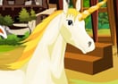 Caring For Unicorns