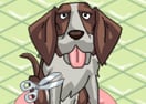 Puppy Grooming