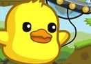 Chicken Home