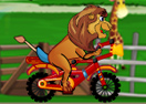 Lion Ride