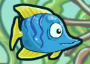 Fish Race Champions