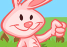 Rabbit Rescue