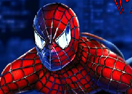 Spiderman Toys Transporter