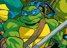 Turtles Racing