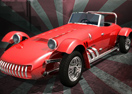 Minicar Hunt