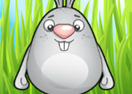 Easter Cazy