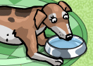 Mama Dog