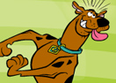 Scooby-Doo! Basketball