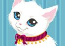 Kitty Care