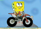 Friendly Race