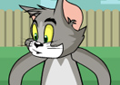 Tom and Jerry Cheese War 2