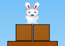 Bunny Guardian The Shooter