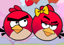 Angry Bird Seek Wife