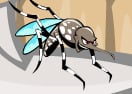 Dengue