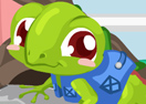 Gecko Care