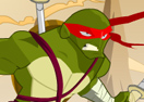Ninja Turtle Stunts
