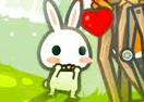 The Rabbit Fell In Love With The Wolf