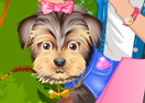 Doggy Bag