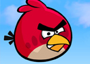 Angry Bird vs Zombies