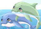 Dolphin Care