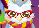 Owl Care