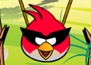 Angry Birds Get Eggs