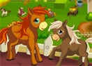 Decorate Horse Farm