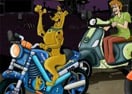 Scooby Stars Race
