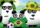 3 Pandas in Brazil